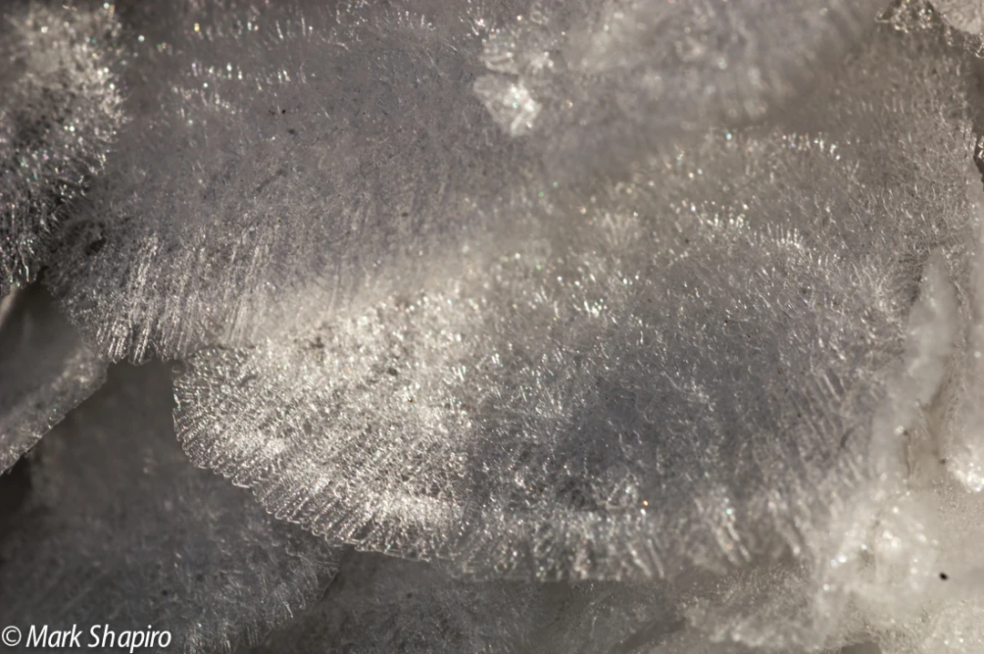 Elements-Ground Frost-54