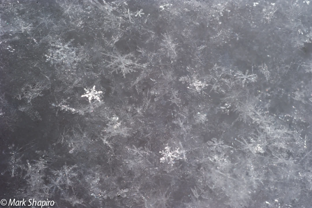 Powder Snow-44